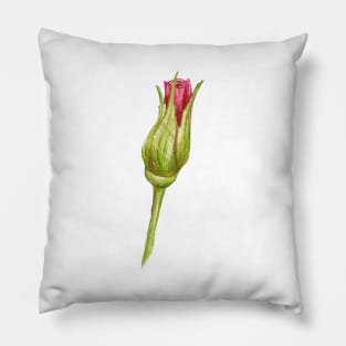 rosebud Pillow