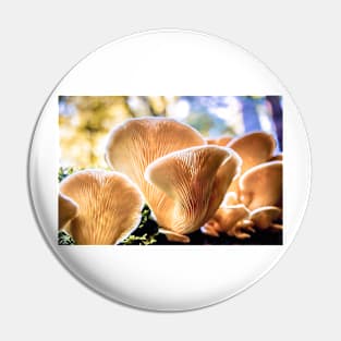 Chanterelle Mushrooms Pin