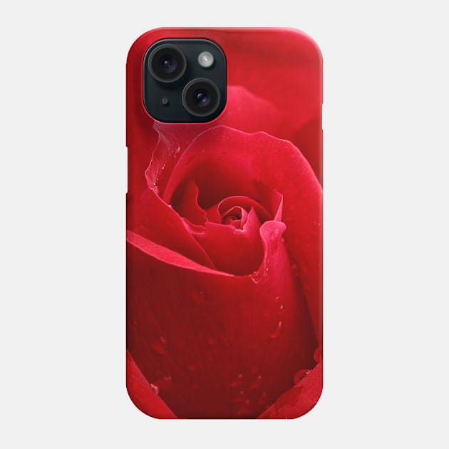 In the Heart of a Red Rose Phone Case by walkswithnature