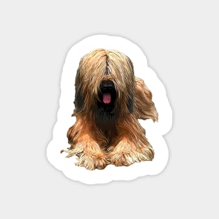 Briard The Stylish Look Magnet