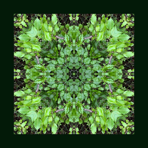 Mandala Kaleidoscope in Shades of Green by Crystal Butterfly Creations