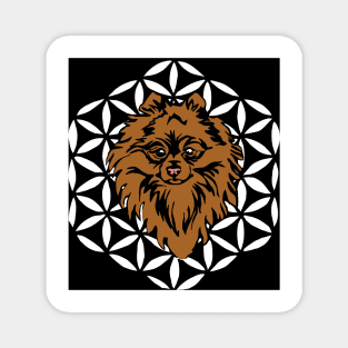 Flower of life spitz Magnet