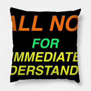 IMMEDIATE UNDERSTANDING Pillow