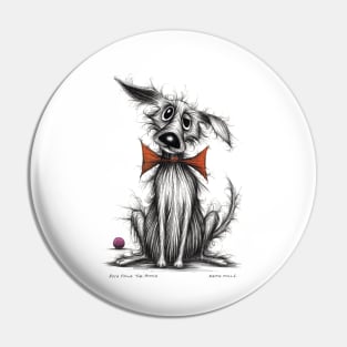 Posh paws the pooch Pin