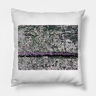 Lavender Slice Pillow