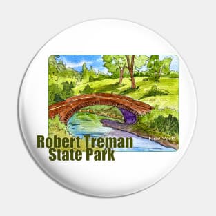 Robert Treman State Park, New York Pin