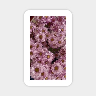 Floral Pattern 7 Magnet