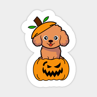 Cute Brown Dog is in a pumpkin Magnet