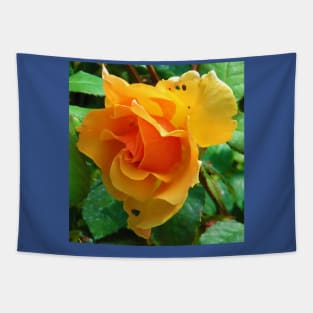 Ragged rose Tapestry