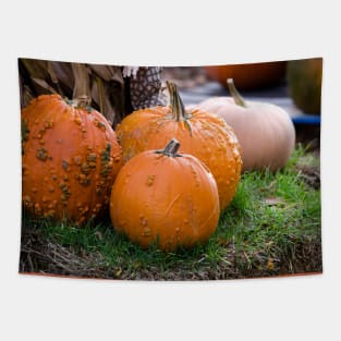 Bumpy pumpkin landscape in fall Tapestry