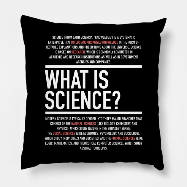 Science Defined - Science Teacher Pillow by Hidden Verb