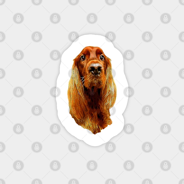 Irish Setter - Glamorous Dog! Magnet by ElegantCat