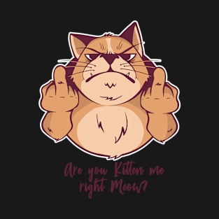 Are You kitten me right Meow, Middle Finger Cat T-Shirt