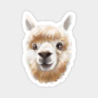 Cute Alpaca Drawing Magnet