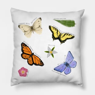 Butterflies and Blooms Pillow