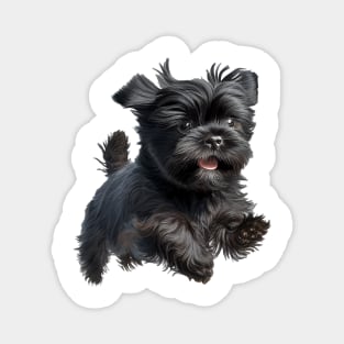 Affenpinscher - dog Magnet