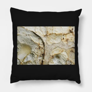 Puffball Mushroom detail Pillow