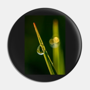 Water Bead on a Blade of Grass Pin