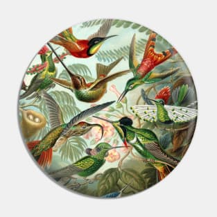 Ernst Haeckel Hummingbirds Pin