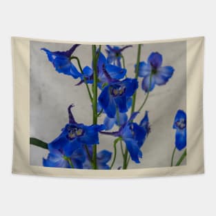 Blue delphinium flowers Tapestry