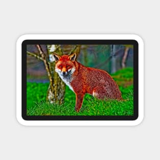 Arty Mr Red Fox Magnet