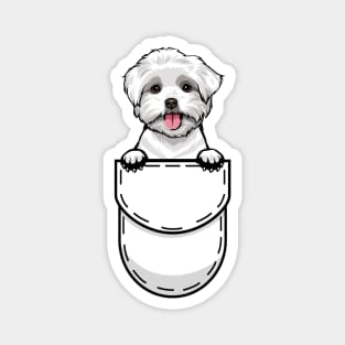 Funny Maltese Pocket Dog Magnet