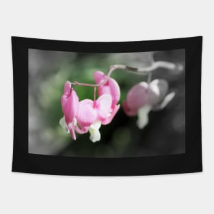 red bleeding hearts, soft background 2 Tapestry