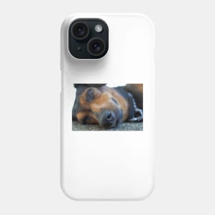 closeup of a sleeping dog Phone Case