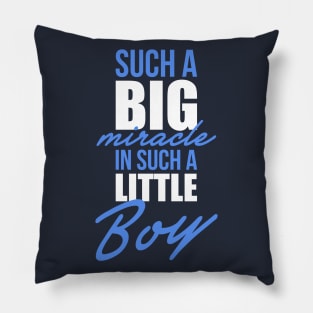 Such a big miracle Pillow