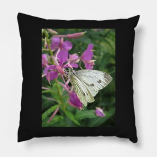 The Cabbage White Butterfly Pillow