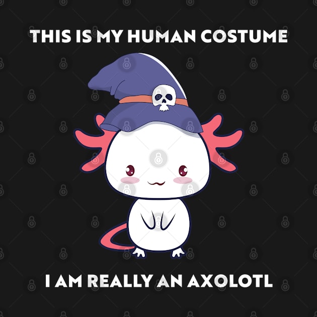 This is my human costume i'm really an axolotl by archila