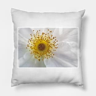 White Rose Pillow