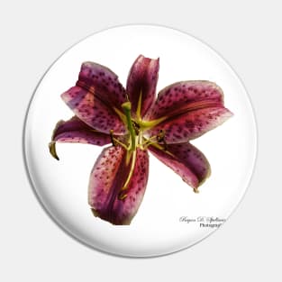 Stargazer Lily Pin