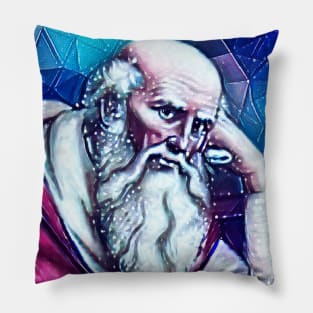 St. Jerome Snowy Portrait | St. Jerome Artwork 13 Pillow