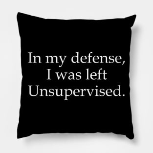 In my defense, I was left unsupervised Pillow