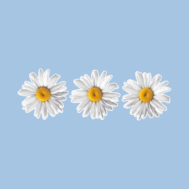 Daisy Trio by tangerinetane