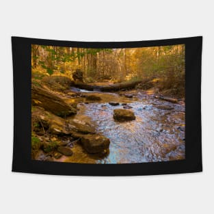 Mountain Stream Tapestry