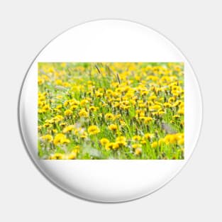 Dandelions Pin