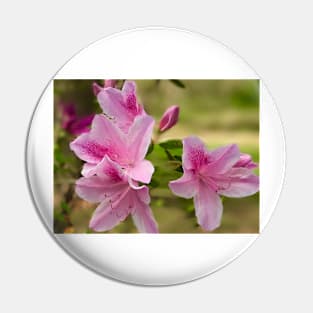 Pink Azalea Pin