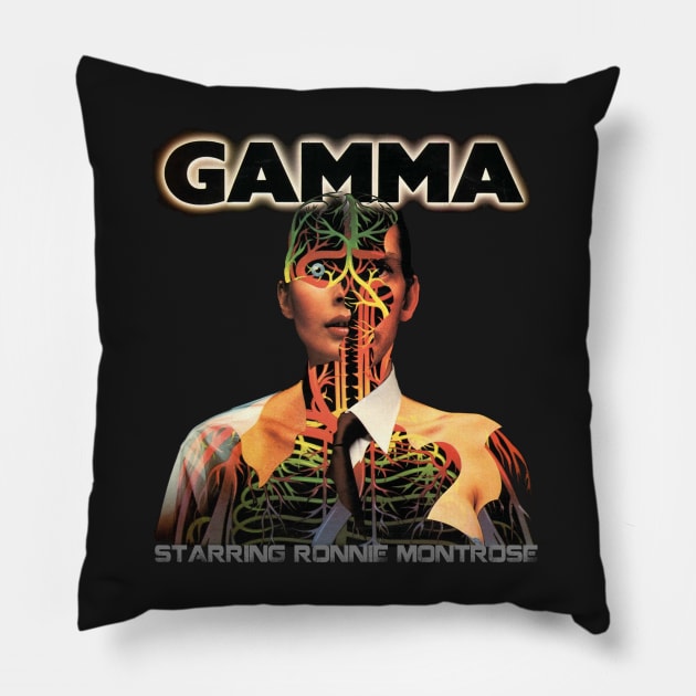 GAMMA Pillow by ElijahBarns