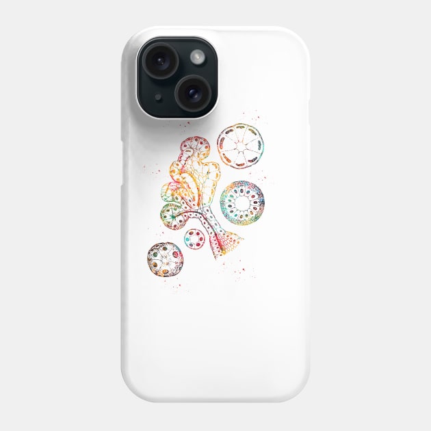 Endocrine gland Phone Case by erzebeth