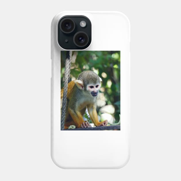 NEW THE PANASONIC FZ 1000 PAR OKAIO CREATION by okaio caillaud olivier 	      NEW THE PANASONIC FZ 1000 PAR OKAIO CREATION Phone Case by caillaudolivier