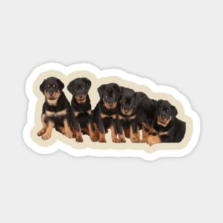 Sit Happens For Six Rottweiler Puppies Dog Lover Humor Magnet