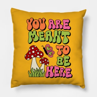 You are Meant To Be Here Pillow