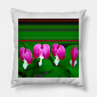 Bleeding Hearts and Stripes Pillow