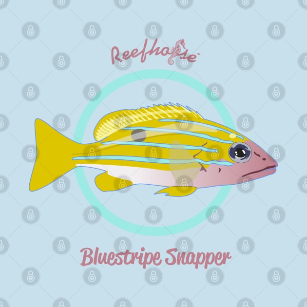 Bluestripe Snapper by Reefhorse