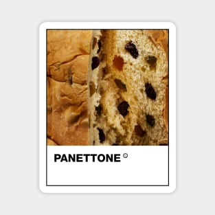 Pantone Panettone Magnet