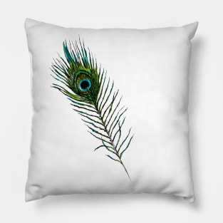 Peacock Feather Print Pillow