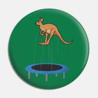 Kangaroo Pin