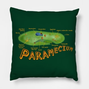 Paramecium-with structures labeled Pillow